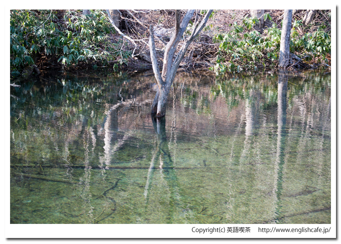 相沼内ダムと池（北海道八雲町）