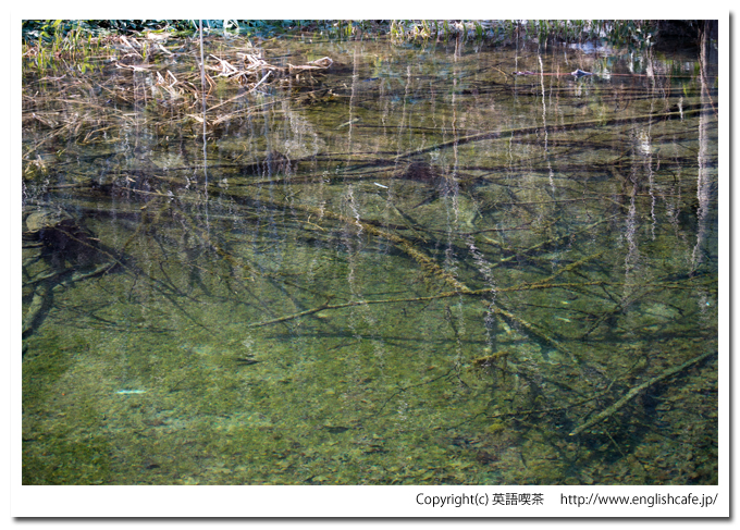 相沼内ダムと池（北海道八雲町）