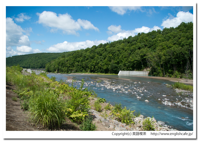 青い池、そばを流れる青い川と緑の風景（北海道美瑛町）