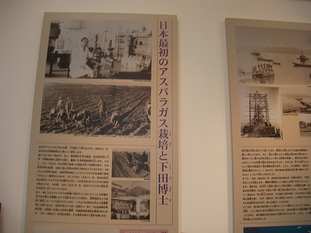 アスパラガス発祥の地、アスパラガス栽培の軌跡の説明（北海道岩内町）