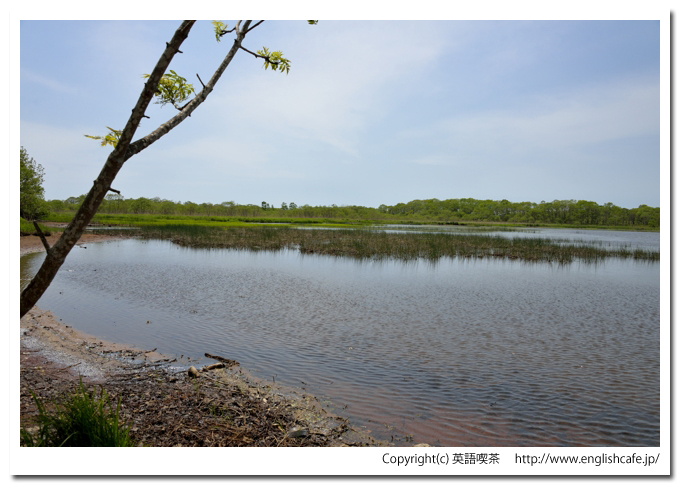 茨散沼、茨散沼の左側の風景（北海道野付郡別海町）
