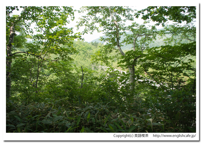 第５音更川橋梁、散策路から見る（北海道上士幌町）