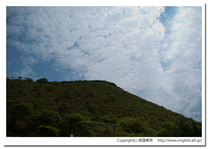 恵山つつじ公園とつつじ（北海道函館市）