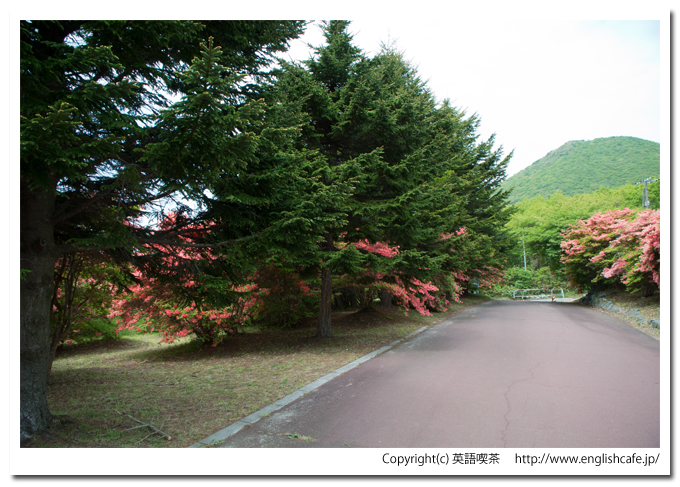 恵山つつじ公園（北海道函館市）