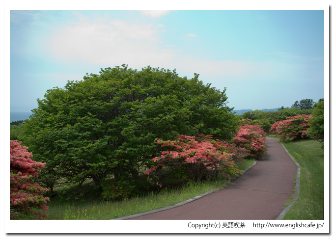恵山つつじ公園の散策路とツツジ（北海道函館市）