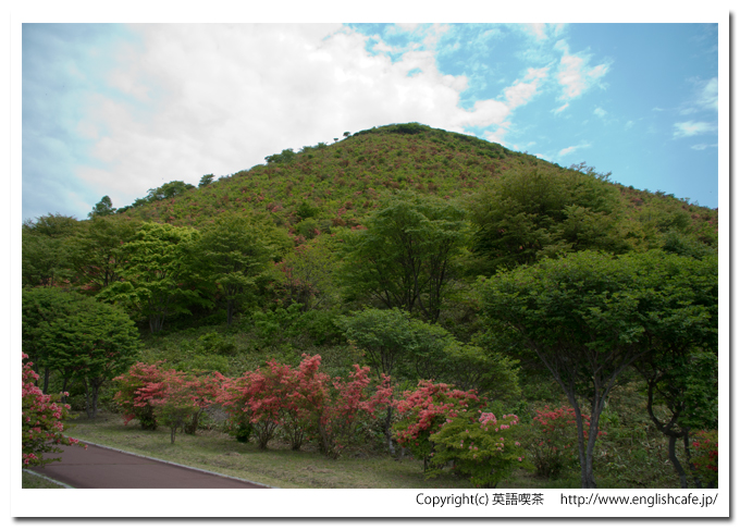 恵山つつじ公園の前山とツツジ（北海道函館市）