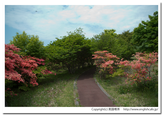恵山つつじ公園の散策路とさらに細めの散策路に沿うつつじ（北海道函館市）