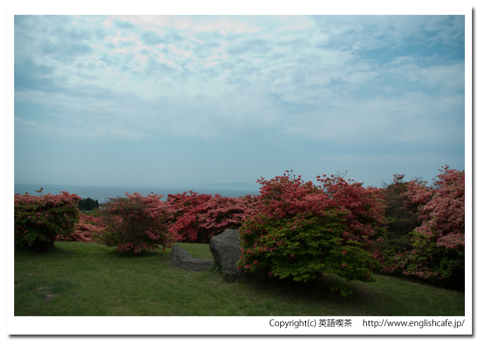 恵山つつじ公園のつつじと青いそら（北海道函館市）