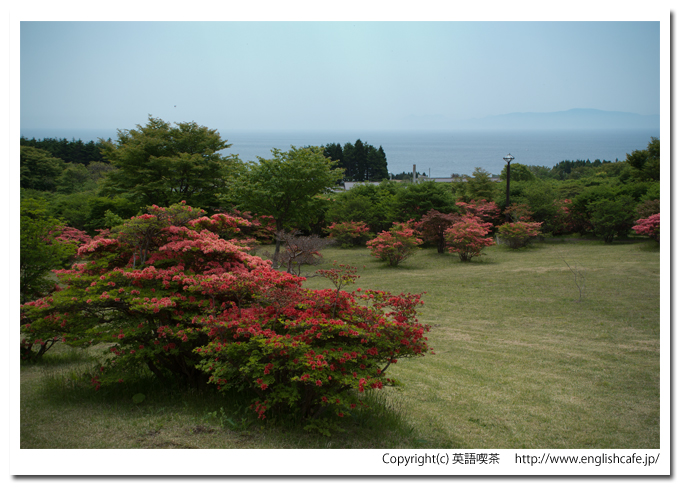 恵山つつじ公園のつつじと青いそら、広いところから（北海道函館市）