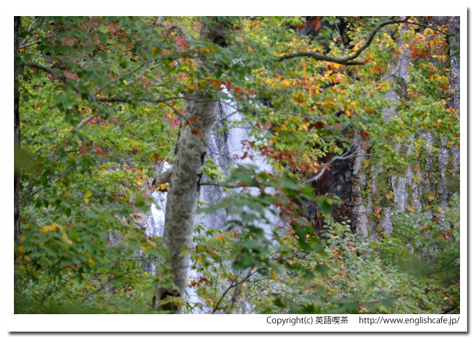 賀老高原と昇竜の橋、昇龍の橋と遊歩道を歩いた先の賀老の滝（北海道島牧村）