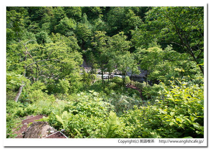 賀老の滝、散策路の下へ（北海道島牧村）