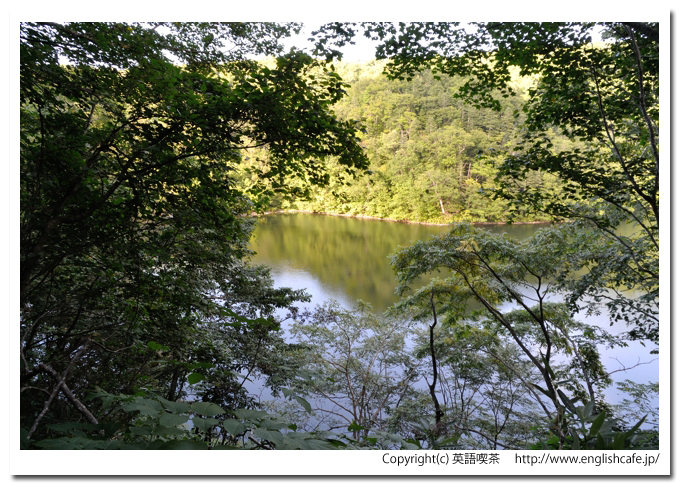 半月湖、散策路から見える湖（北海道倶知安町）