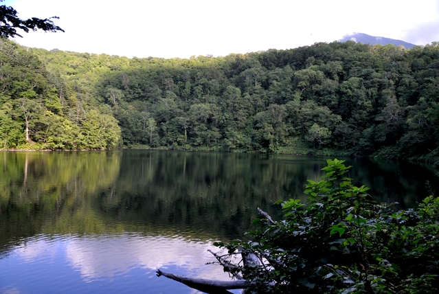 半月湖、湖畔の右側の景色（北海道倶知安町）