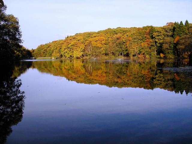 八郎沼の湖畔、戻りながらの紅葉、湖面に映える紅葉（北海道北斗市）