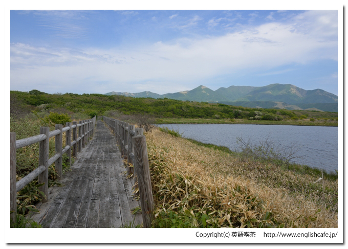 悲恋沼、悲恋沼の木道（北海道幌泉郡えりも町）