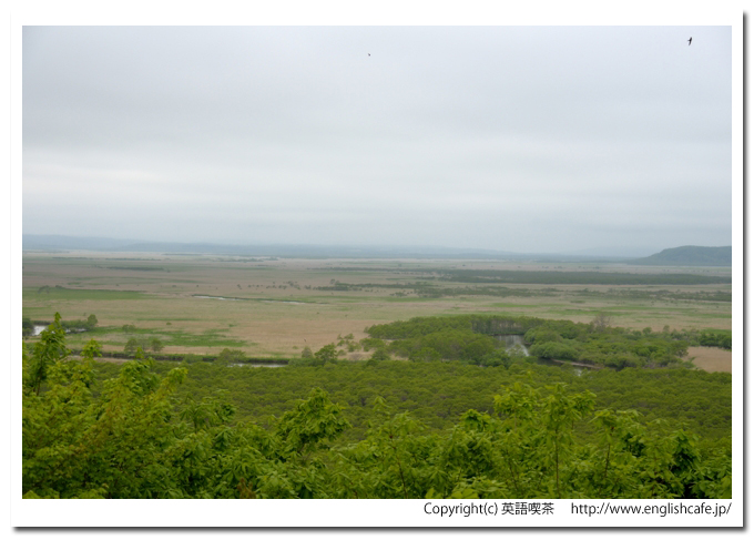 細岡展望台（釧路湿原国立公園）、細岡展望台から左の方角へ（北海道釧路郡釧路町）