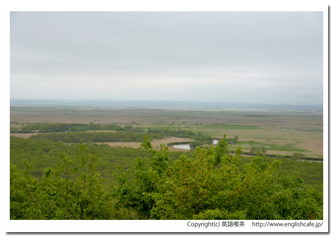 細岡展望台（釧路湿原国立公園）、細岡展望台から左の方角へ、蛇行する釧路川（北海道釧路郡釧路町）