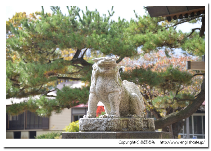 岩内神社、岩内神社の狛犬（北海道岩内郡岩内町）