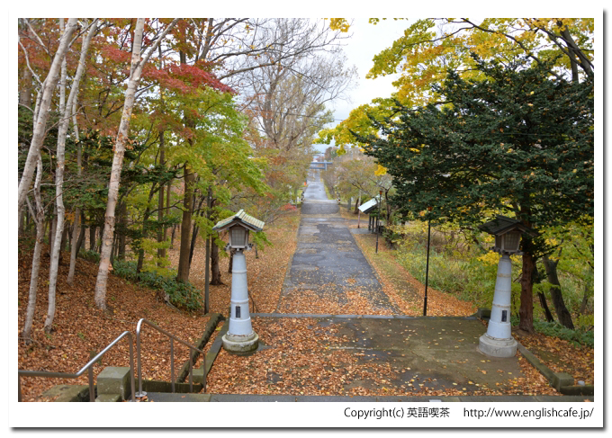 岩内神社、岩内神社の社殿側から見た参道（北海道岩内郡岩内町）
