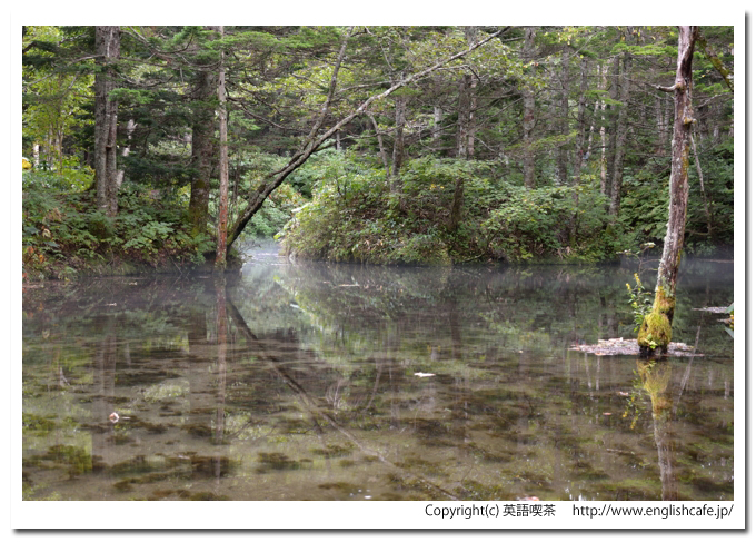 神の子池、神の子池に通じる池（北海道清里町）
