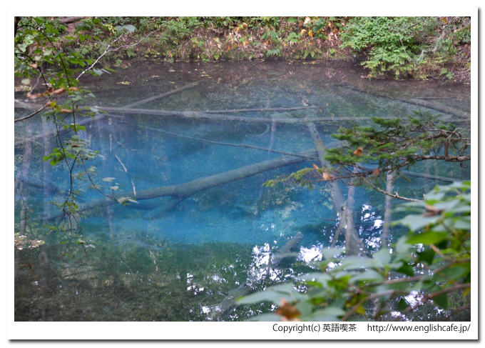 神の子池、神の子池の青くなっているところを撮影（北海道清里町）