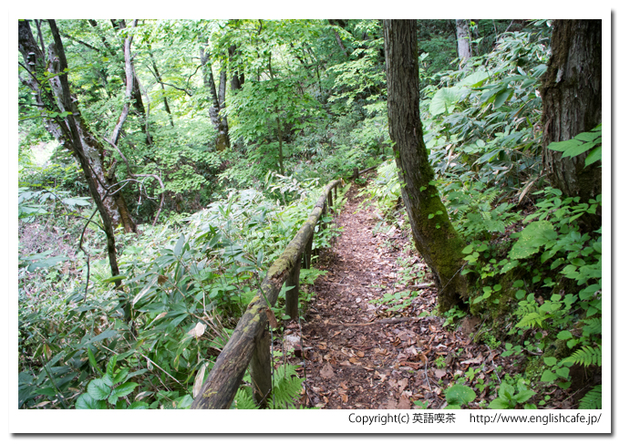 鳥崎渓谷の名所上大滝、滝への散策路の整備状況（北海道森町）