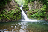 恵山のつつじ（北海道函館市）