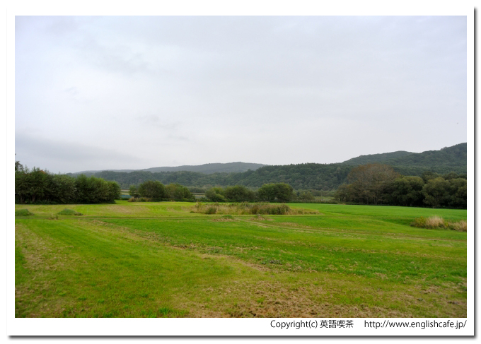 阿寒国際ツルセンター、阿寒国際ツルセンターの給餌場（北海道釧路市阿寒町）