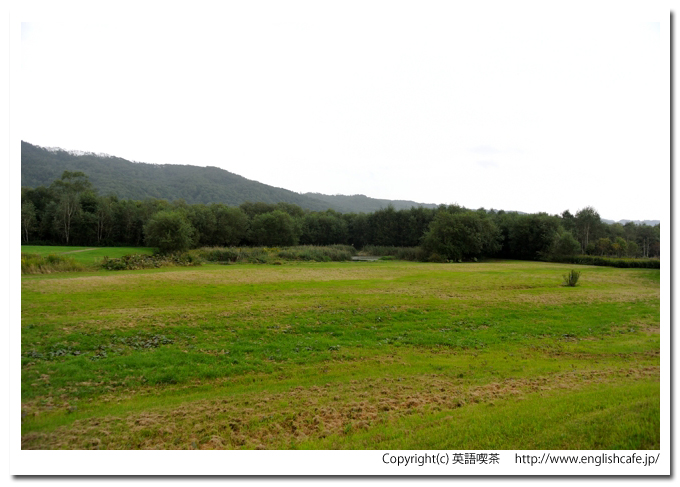阿寒国際ツルセンター、阿寒国際ツルセンターの給餌場の右側方向（北海道釧路市阿寒町）