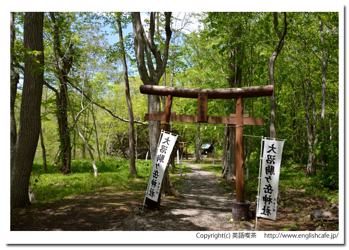 駒ヶ岳神社、木々と陽の光と駒ヶ岳神社の鳥居（北海道七飯町）