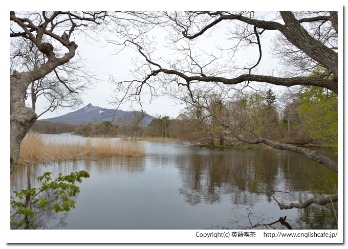小沼湖、小沼湖の散策路を進んで駒ヶ岳側へ（北海道七飯町）