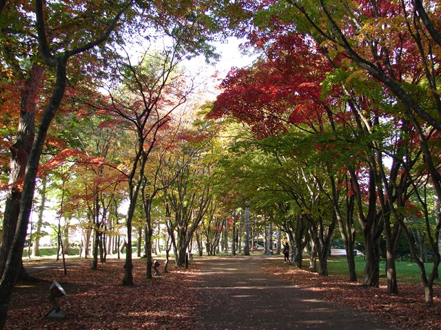 旧岩船氏庭園（香雪園）、紅葉の散策（北海道函館市）
