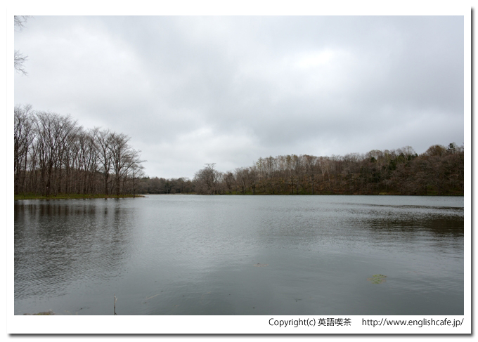 口無沼、展望用デッキからみる水面を少しだけ視線を移して（北海道苫小牧市）