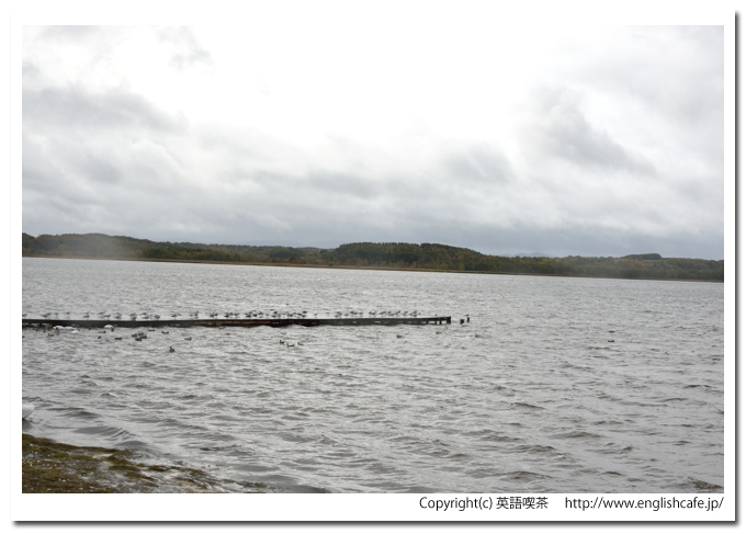 クッチャロ湖、クッチャロ湖の桟橋（北海道浜頓別町）