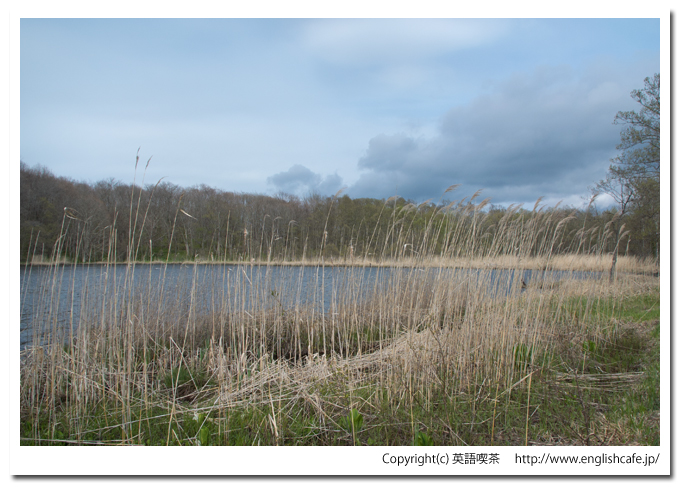 円沼の景色（北海道茅部郡森町大沼国定公園）