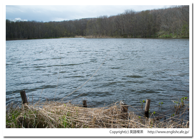 円沼の案内板の向こう側（北海道茅部郡森町大沼国定公園）