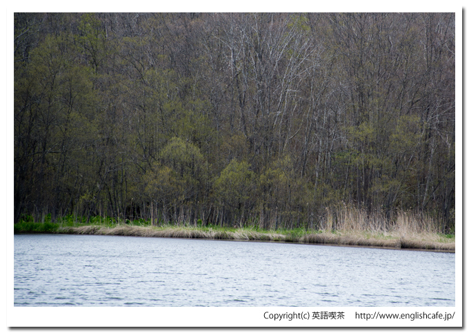 円沼の向こう端（北海道茅部郡森町大沼国定公園）