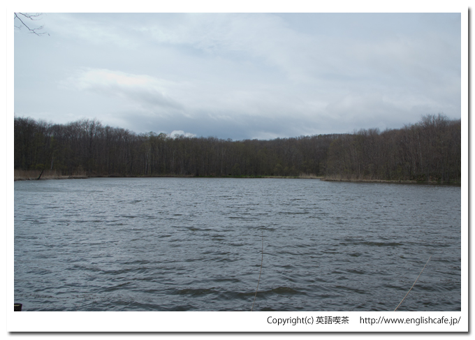 円沼の全景（北海道茅部郡森町大沼国定公園）