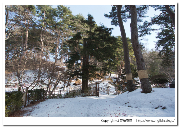 冬の見晴公園（北海道函館市）