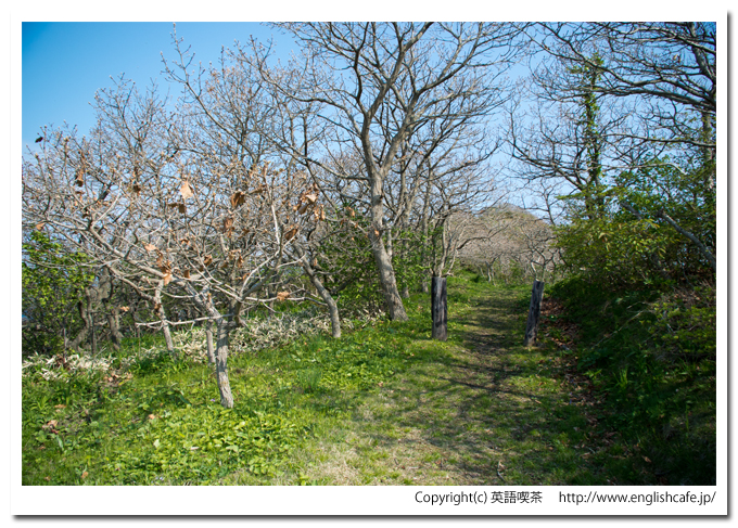 武井の島展望台への散策路入口（北海道函館市）