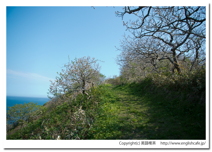 武井の島展望台への散策路を歩いて、少し開けたところ（北海道函館市）