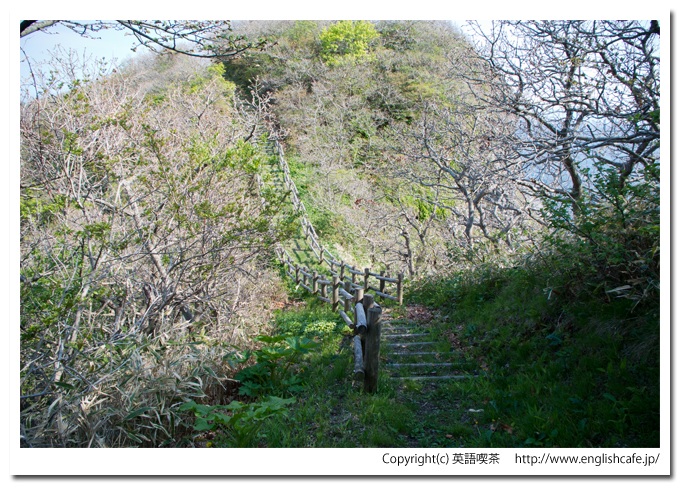 武井の島展望台と散策路途中の木製階段（北海道函館市）