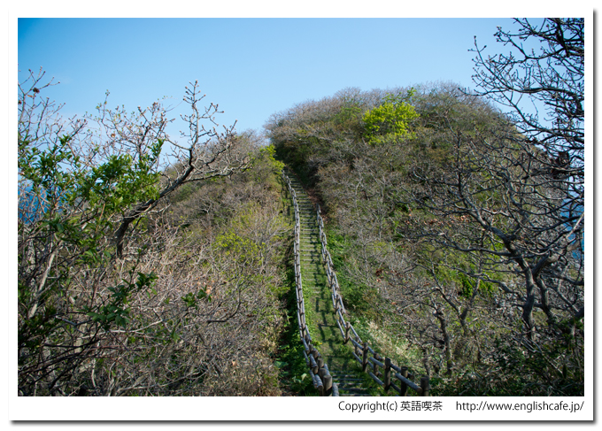 武井の島展望台と散策路途中の木製階段を進む（北海道函館市）