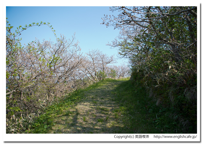 武井の島展望台と散策路をさらに進みます。（北海道函館市）