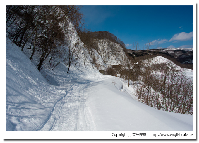 新中野ダムとダム湖（北海道函館市）
