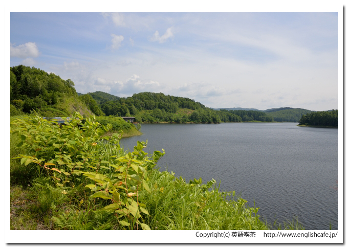 温根別ダム、ダム湖側から見る湖面の景色（北海道士別市温根別町）