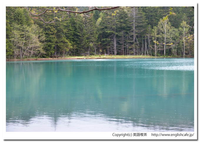 オンネトー湖、阿寒国立公園オンネトーの案内板側からみる湖面の景色（北海道足寄町）