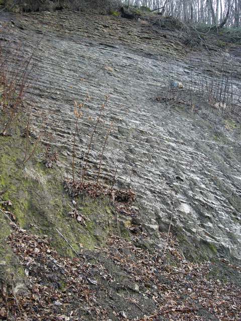 オオシュブンナイの滝の側の地層１