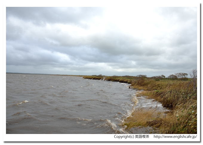 パンケ沼、岸と湖面の様子（北海道幌延町）