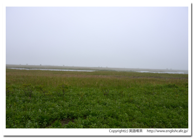 野付崎灯台と竜神崎（野付半島の自然）、竜神崎周辺の湿原（北海道野付郡別海町）